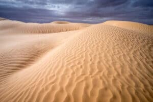 Tozeur ! Assim que se chega à cidade de Tozeur é se invadido pela brisa quente do deserto, perfumada pelo jasmim que floresce no seu palmeiral luxuriante. 1 Dunas em Tozeur