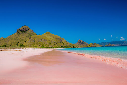 Praiadeareiacorderosa