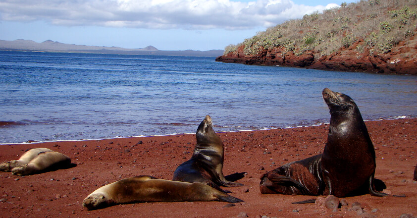 Rabida Galapagos