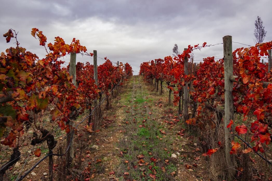 Alentejo