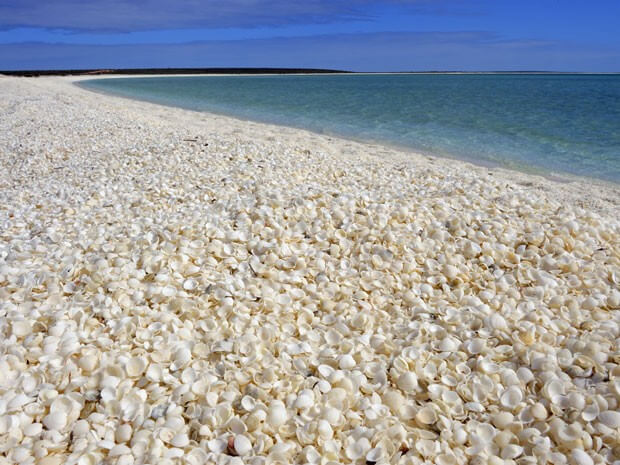 praiadasconchas