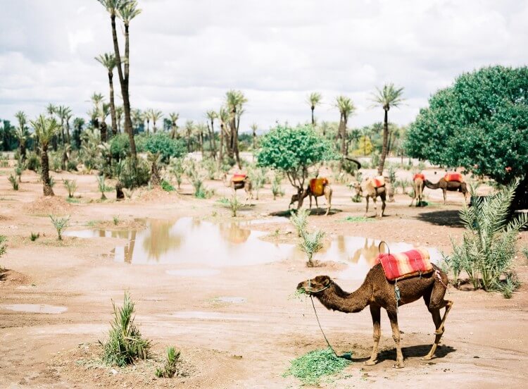 marrakech
